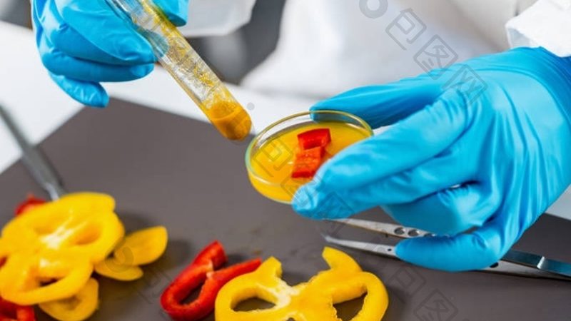 食品招商公司代理条件：揭秘食品代理的入门门槛